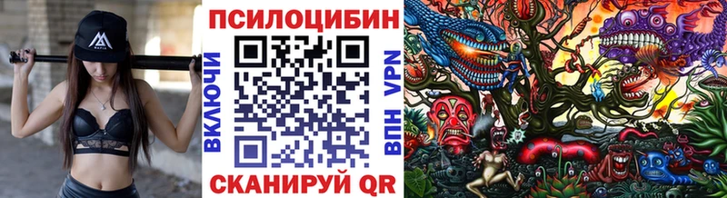 цена   Феодосия  Псилоцибиновые грибы прущие грибы 