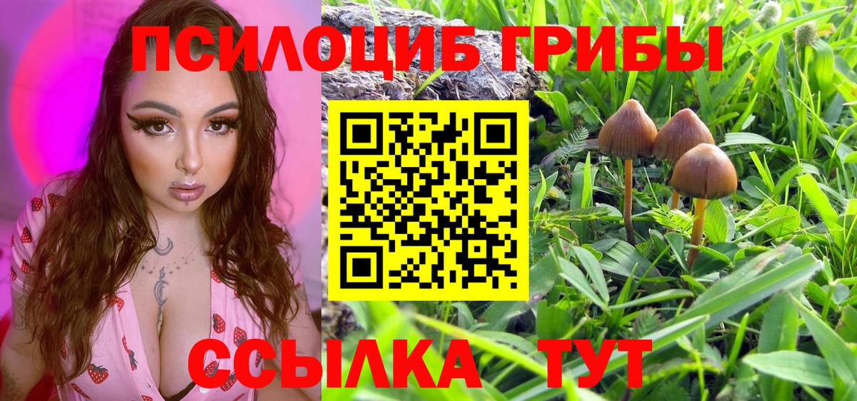 Галлюциногенные грибы MAGIC MUSHROOMS Феодосия