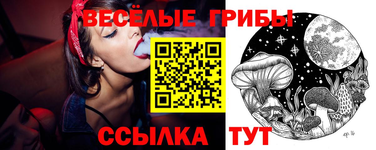 Феодосия  Галлюциногенные грибы Psilocybe  Вход с VPN 